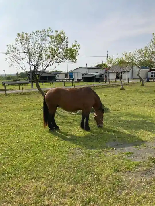 大楽毛神社(北海道)