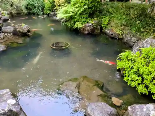 金蛇水神社(宮城県)