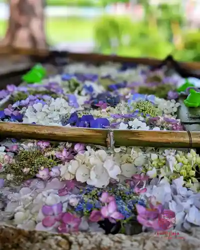 立志神社(滋賀県)