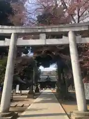 東村山八坂神社の鳥居