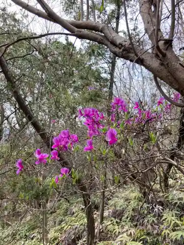 河上神社の自然
