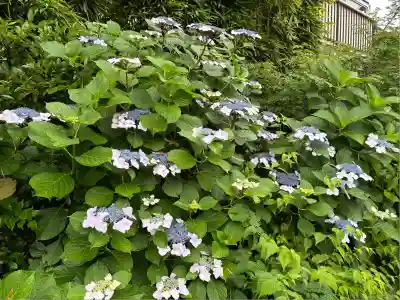 田端神社(東京都)
