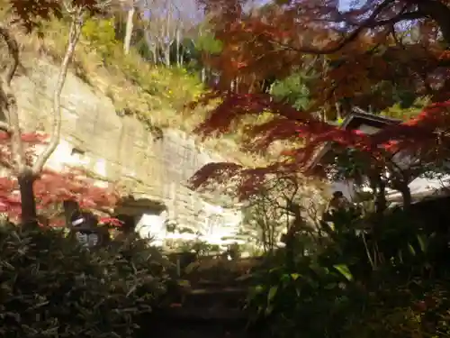 龍隠庵の本殿・本堂