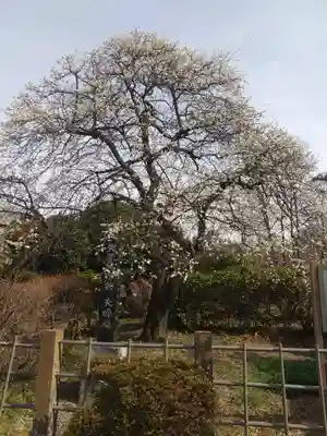 石重寺(埼玉県)