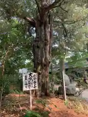 浄瑠璃寺の建物その他