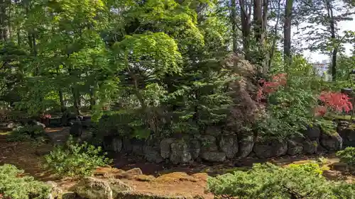 高台寺の庭園