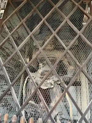 園城寺（三井寺）(滋賀県)