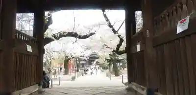 祐天寺の山門・神門