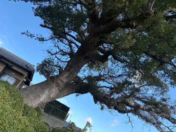 極楽寺(愛知県)