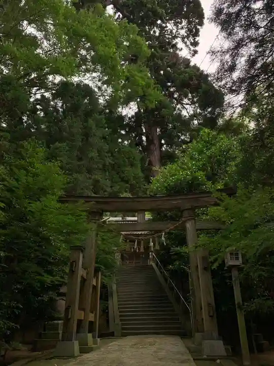 田間神社の鳥居