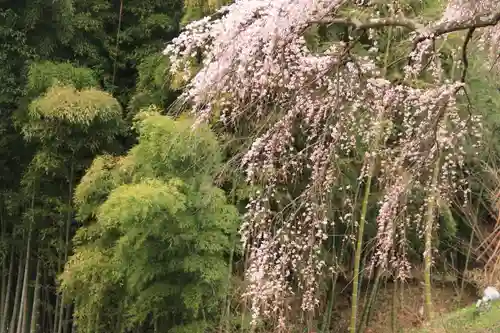 建福寺の庭園