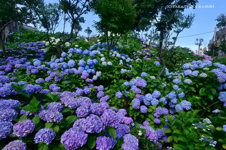 白山神社の庭園