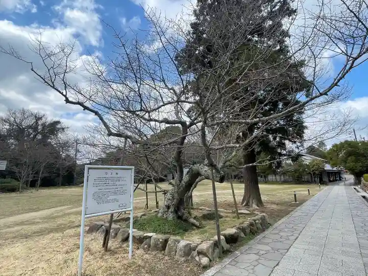 屋島寺(香川県)