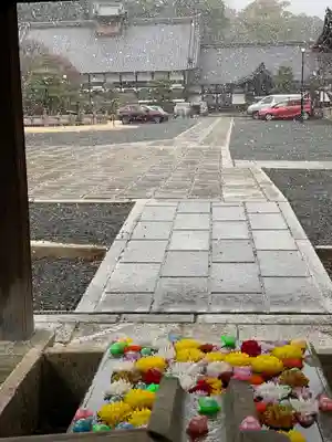 くろ谷 金戒光明寺の手水舎