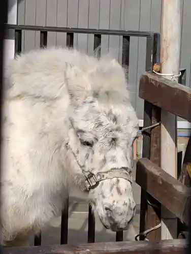 五方山熊野神社(東京都)