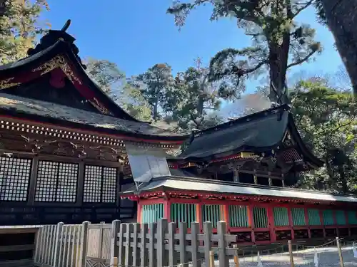 鹿島神宮(茨城県)