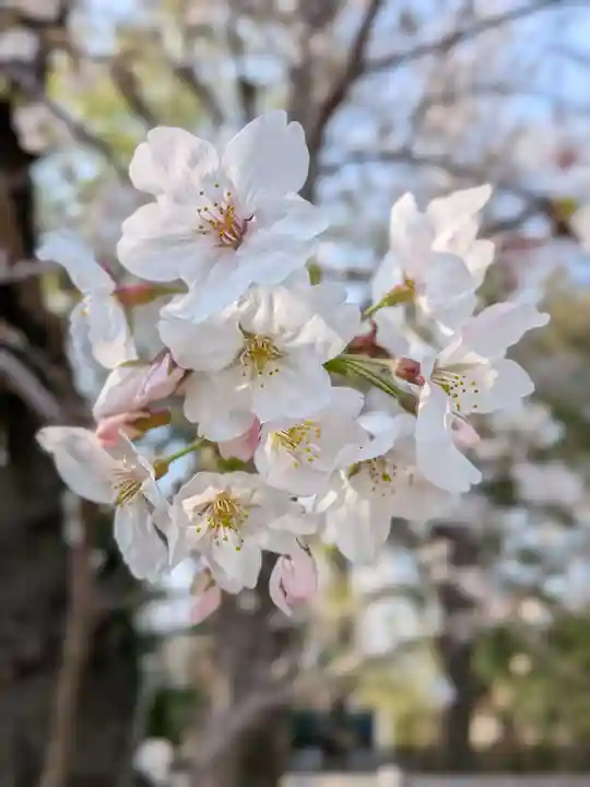 多田神社(東京都)