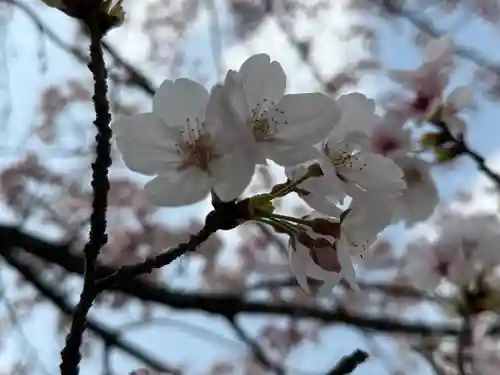 西方山極楽寺(岐阜県)