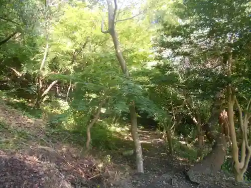 龍寳寺（龍宝寺）の自然