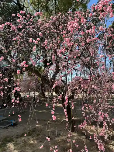 屯倉神社(大阪府)