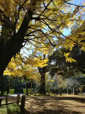 赤坂氷川神社(東京都)