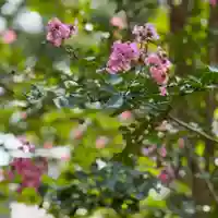 伊勢の国 四天王寺(三重県)