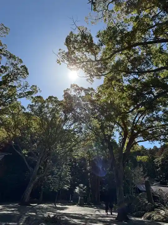 安房神社の{uncategorized: "未分類", other: "その他", undefined: "問題あり", building: "その他建物", grave: "お墓", sacred_gate: "鳥居", guardian: "狛犬", statue: "像", buddha: "仏像", history: "歴史", nature: "自然", garden: "庭園", animal: "動物", pagoda: "塔", temizu: "手水舎", mountain_gate: "山門・神門", sanctuary: "本殿・本堂", subordinate: "末社・摂社", art: "芸術", scenery: "景色", jizo: "地蔵", ema: "絵馬", goshuin: "御朱印", omikuji: "おみくじ", items: "授与品その他", amulet: "お守り", goshuincho: "御朱印帳", eats: "食事", festival: "お祭り", votive_dance: "神楽", shichigosan: "七五三参", wedding: "結婚式", experience: "体験その他", initially: "初詣", around: "周辺", anti_infection: "感染症対策"}