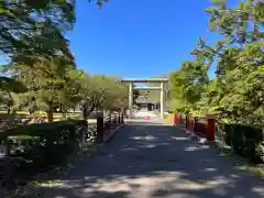 札幌護國神社の鳥居