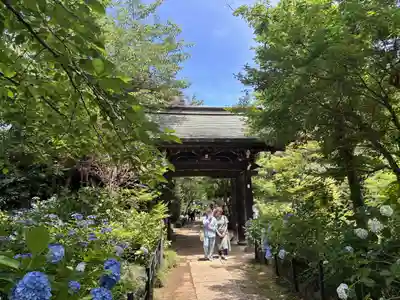 本土寺(千葉県)