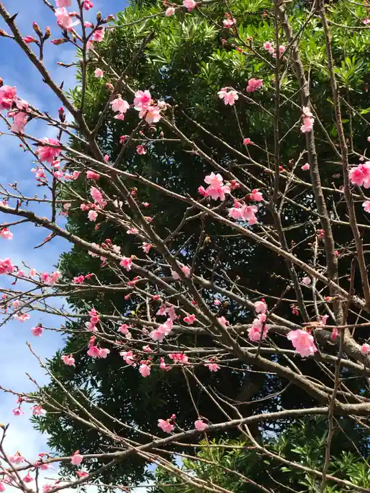 今帰仁里主所火の神(沖縄県)