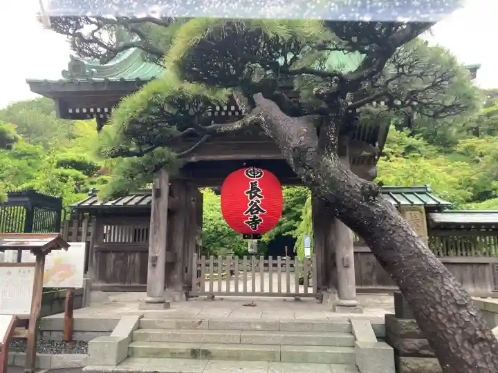 長谷寺(神奈川県)