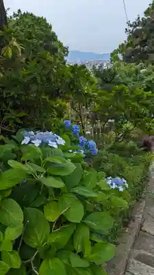 安養寺(京都府)