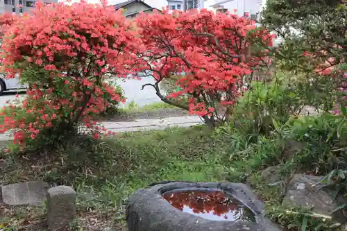 豊景神社の庭園