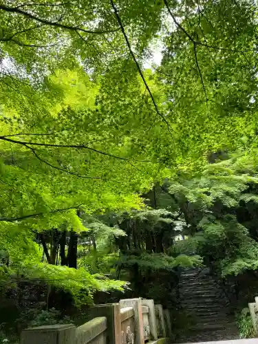 東大寺別院阿弥陀寺(山口県)
