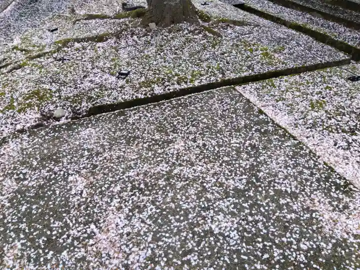 毫攝寺(福井県)