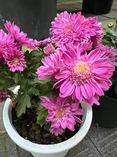 大宮温泉神社(栃木県)