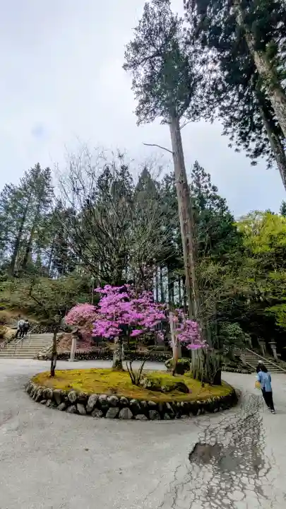 三峯神社の{uncategorized: "未分類", other: "その他", undefined: "問題あり", building: "その他建物", grave: "お墓", sacred_gate: "鳥居", guardian: "狛犬", statue: "像", buddha: "仏像", history: "歴史", nature: "自然", garden: "庭園", animal: "動物", pagoda: "塔", temizu: "手水舎", mountain_gate: "山門・神門", sanctuary: "本殿・本堂", subordinate: "末社・摂社", art: "芸術", scenery: "景色", jizo: "地蔵", ema: "絵馬", goshuin: "御朱印", omikuji: "おみくじ", items: "授与品その他", amulet: "お守り", goshuincho: "御朱印帳", eats: "食事", festival: "お祭り", votive_dance: "神楽", shichigosan: "七五三参", wedding: "結婚式", experience: "体験その他", initially: "初詣", around: "周辺", anti_infection: "感染症対策"}