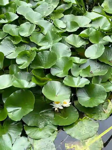 坪沼八幡神社の庭園