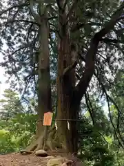 大山阿夫利神社本社(神奈川県)