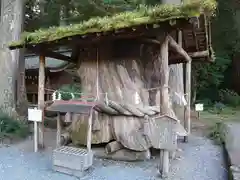 小國神社の自然