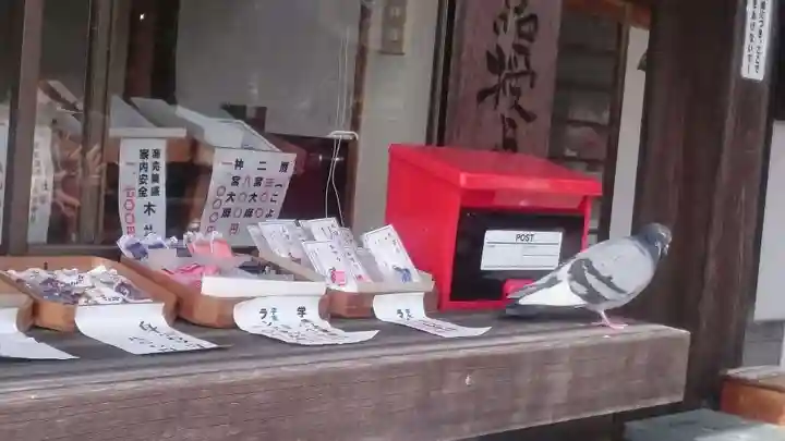 今市報徳二宮神社の動物