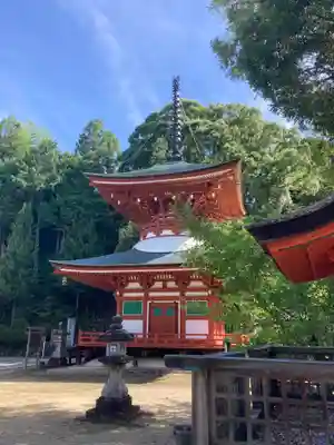 慈尊院(和歌山県)