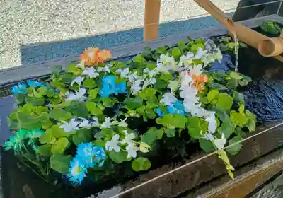 成田山川越別院(埼玉県)