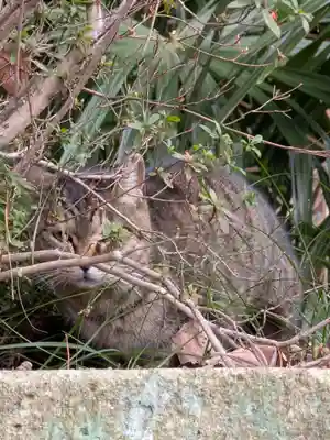 西照寺(東京都)