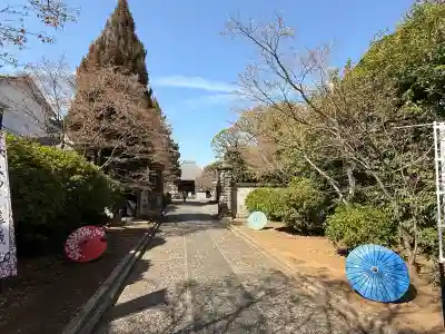延命院の{uncategorized: "未分類", other: "その他", undefined: "問題あり", building: "その他建物", grave: "お墓", sacred_gate: "鳥居", guardian: "狛犬", statue: "像", buddha: "仏像", history: "歴史", nature: "自然", garden: "庭園", animal: "動物", pagoda: "塔", temizu: "手水舎", mountain_gate: "山門・神門", sanctuary: "本殿・本堂", subordinate: "末社・摂社", art: "芸術", scenery: "景色", jizo: "地蔵", ema: "絵馬", goshuin: "御朱印", omikuji: "おみくじ", items: "授与品その他", amulet: "お守り", goshuincho: "御朱印帳", eats: "食事", festival: "お祭り", votive_dance: "神楽", shichigosan: "七五三参", wedding: "結婚式", experience: "体験その他", initially: "初詣", around: "周辺", anti_infection: "感染症対策"}