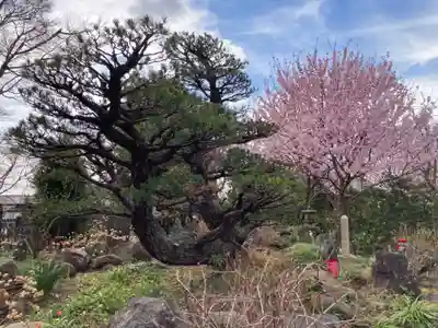 常泉寺(神奈川県)