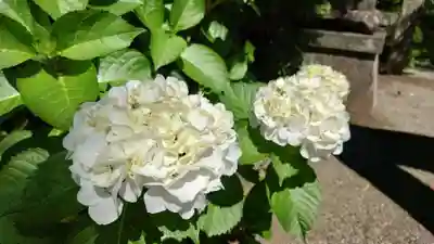 報徳二宮神社(神奈川県)
