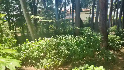 山神社(宮城県)