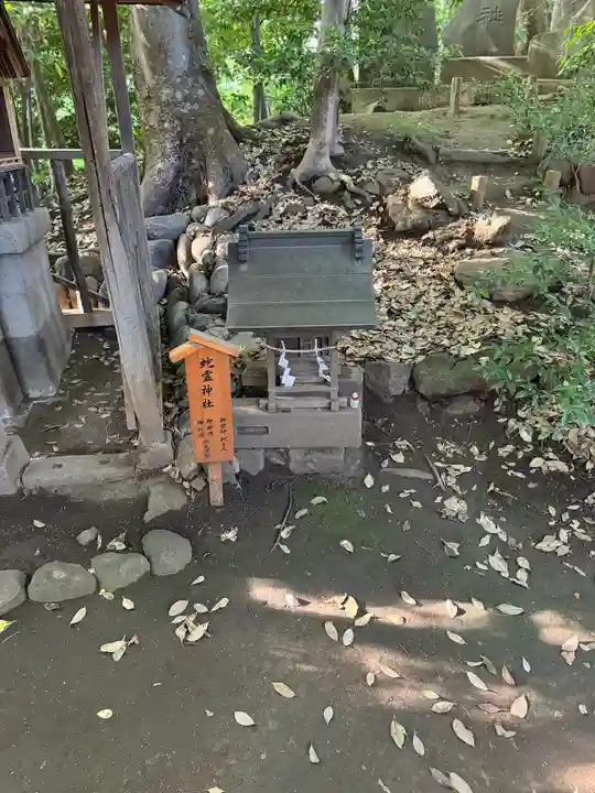 川越氷川神社(埼玉県)