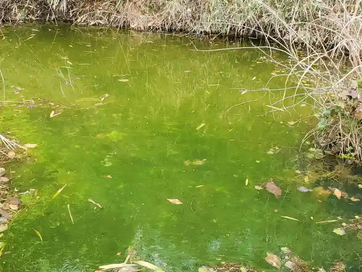 清綱稲荷大明神の周辺